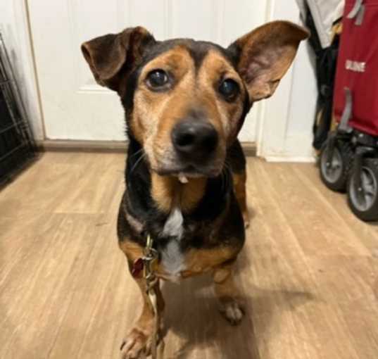 Photo of Zeus