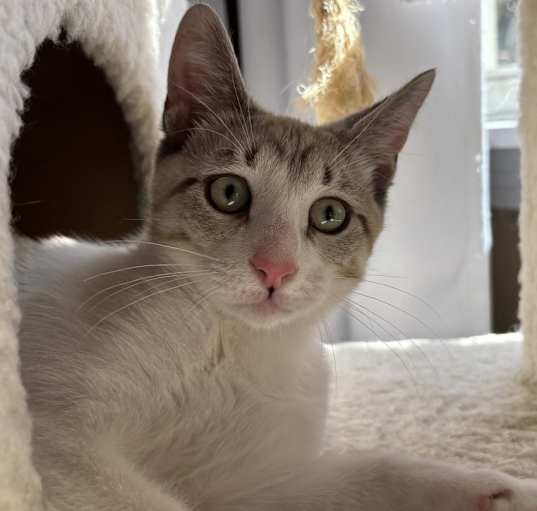Photo of Michi