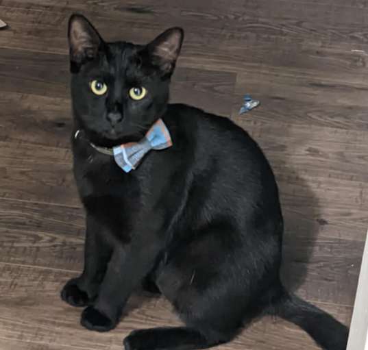 Photo of Tucker