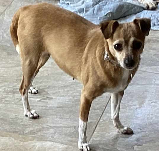 Photo of Penelope, so gentle, so loving
