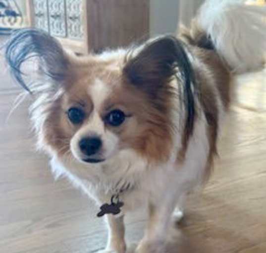 Photo of Mae Daisy