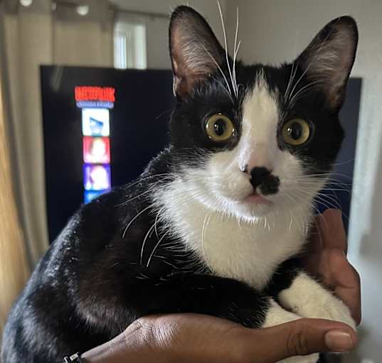 Photo of Spunky