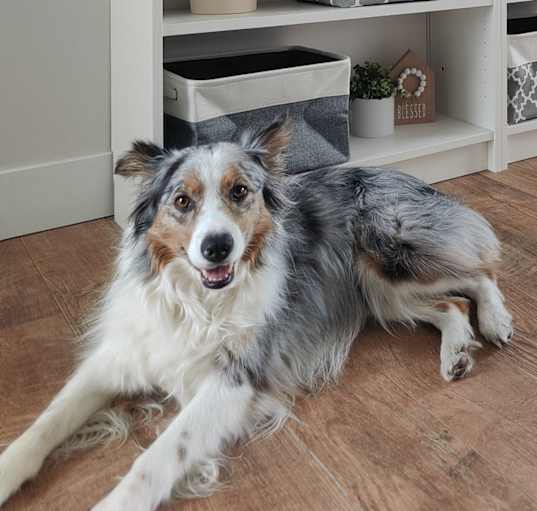 Photo of Luna