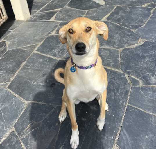 Photo of Molly