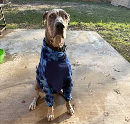 Photo of Duke