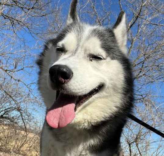 Photo of Sasha
