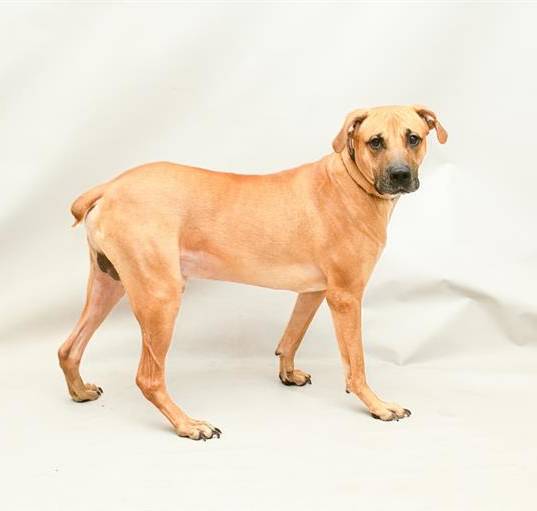 Photo of SCOOBY