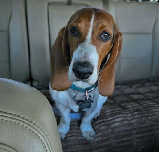 Photo of Winifred