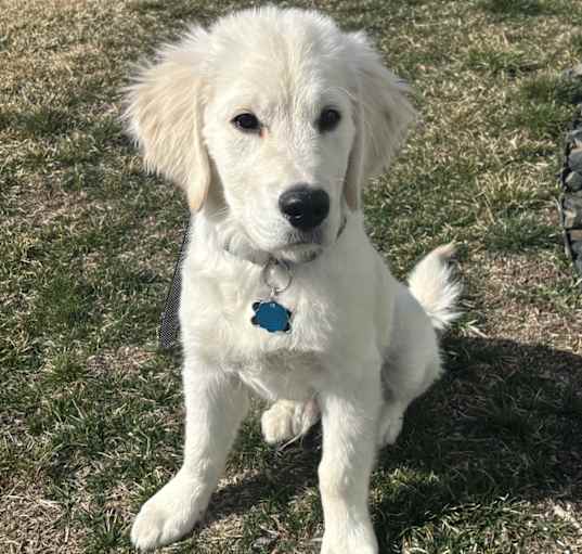 Photo of Mack