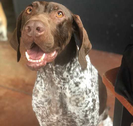 Photo of Lola
