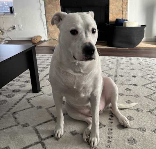 Photo of Thor