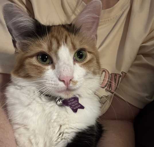 Photo of Poppy