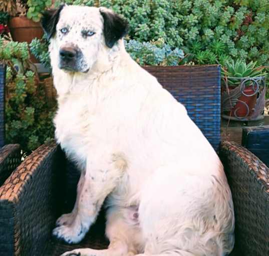 Photo of Miklo