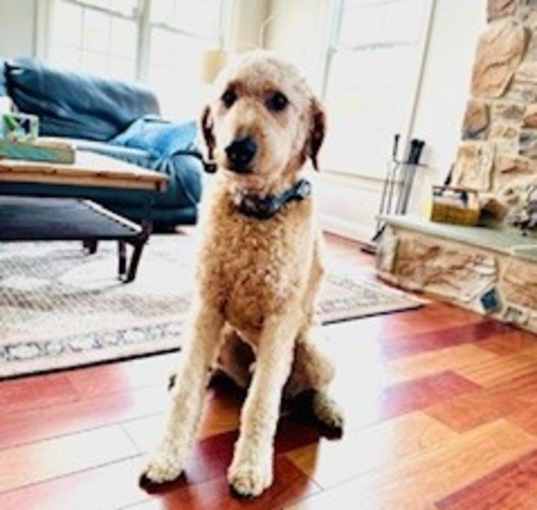 Photo of Stryker