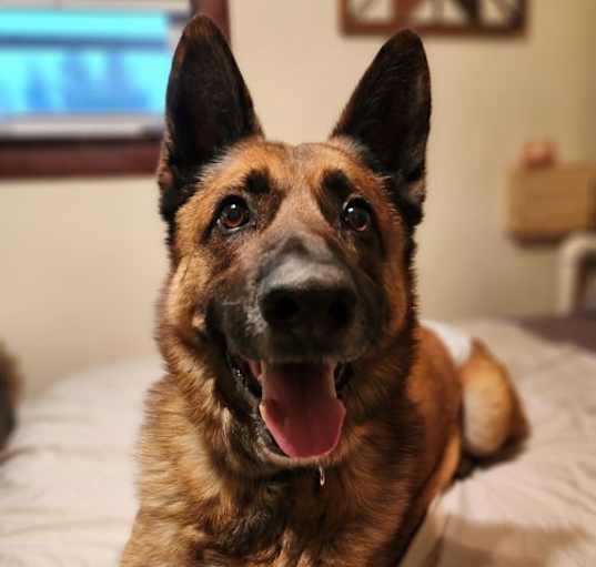 Photo of Major
