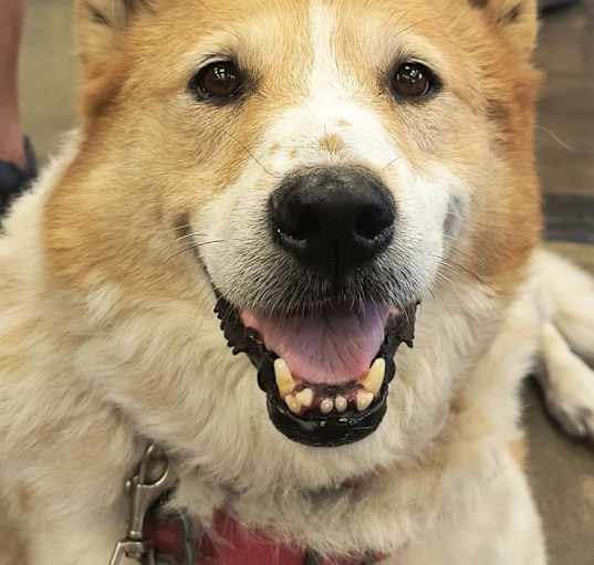 Photo of Emmie