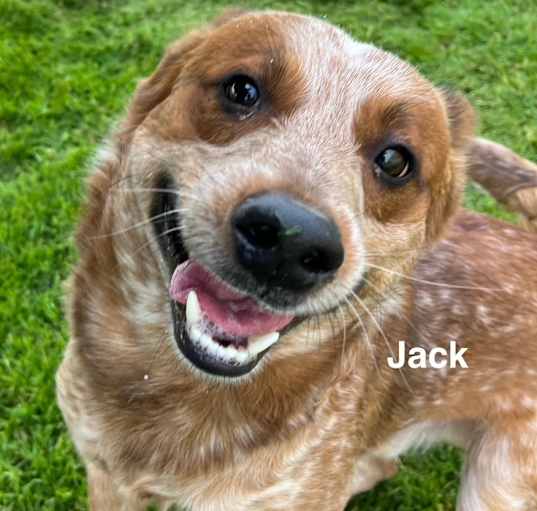 Photo of Jack