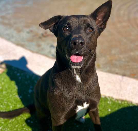 Photo of Laken aka Baylee