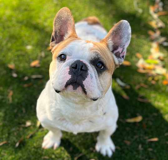 Photo of Gucci