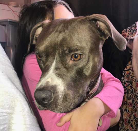 Photo of Nova