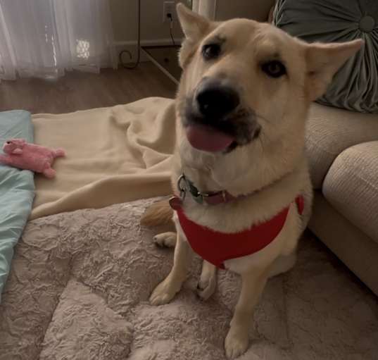 Photo of Sunny