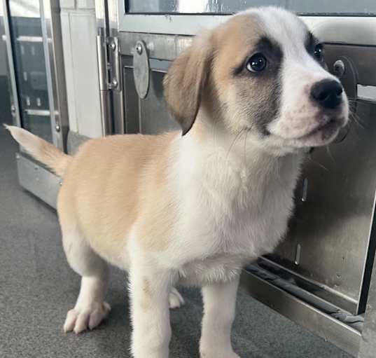 Photo of Churro