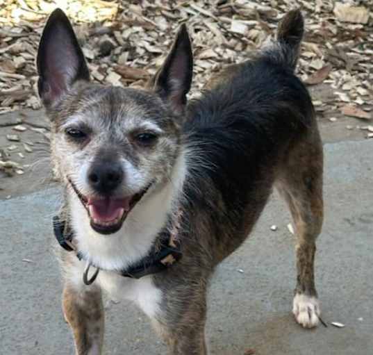 Photo of Max