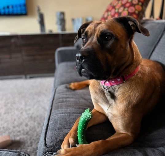 Photo of Heidi