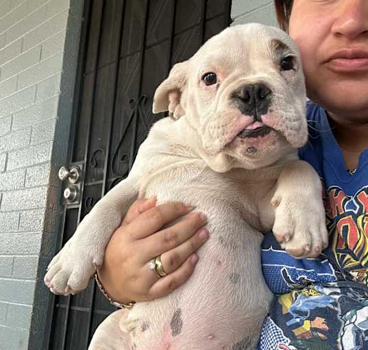 Photo of Zeus