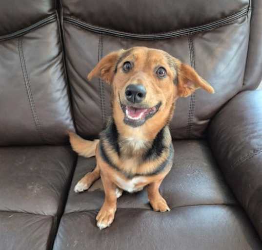 Photo of Cassi