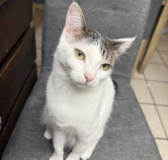 Photo of Cleo