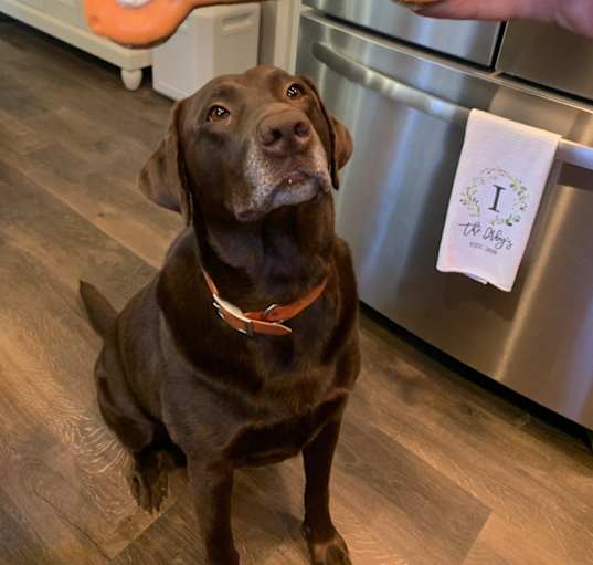 Photo of Remi
