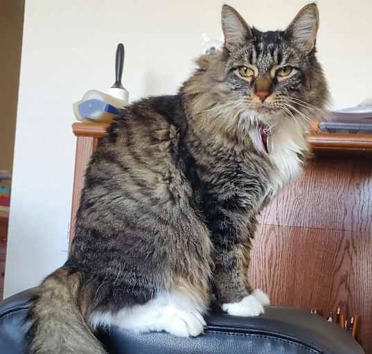 Photo of Boots