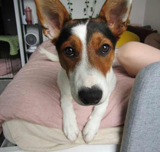 Photo of Winnie