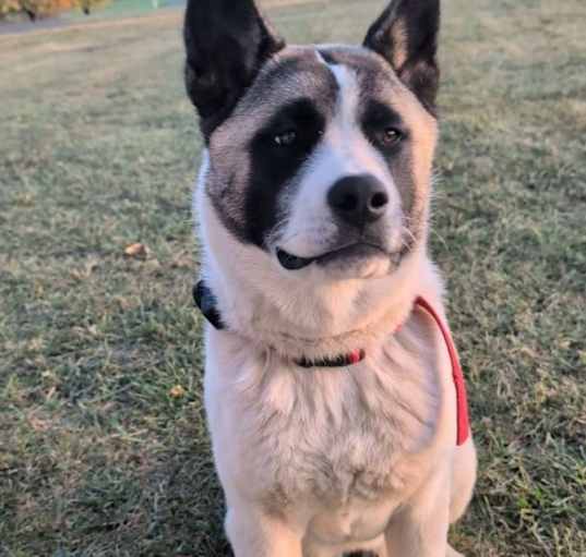 Photo of Kisha