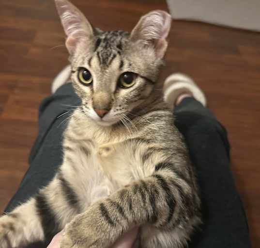 Photo of Helix