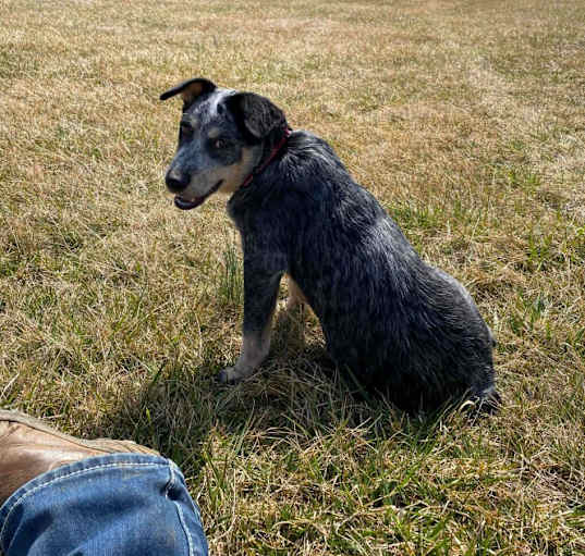 Photo of Jasmine/Piper