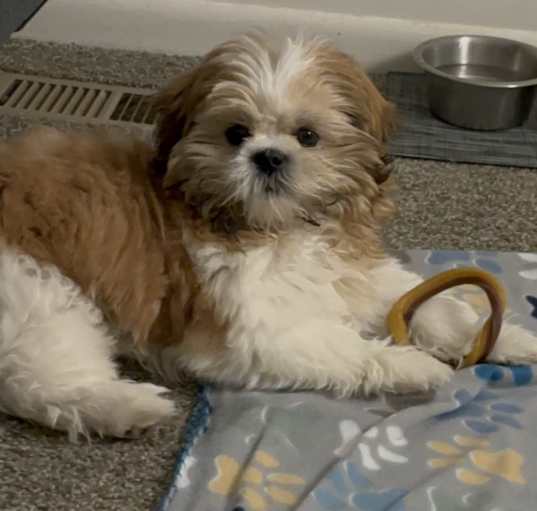 Photo of Courtesy post.  Teddy