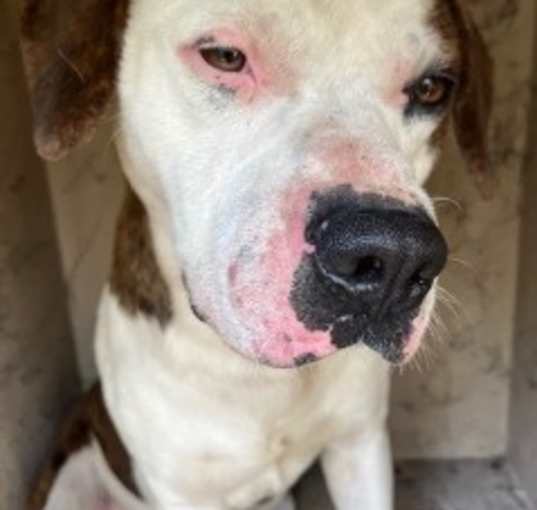 Photo of Bronx