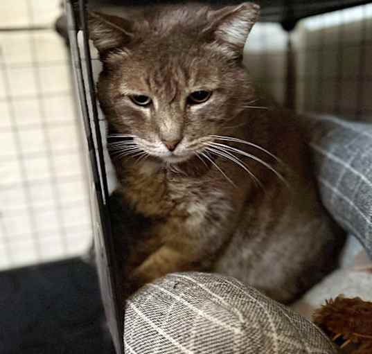 Photo of Buddy - jm