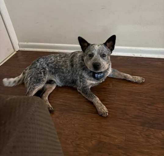 Photo of Bruce