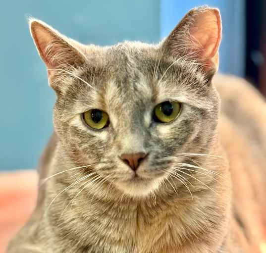 Photo of Hurricane