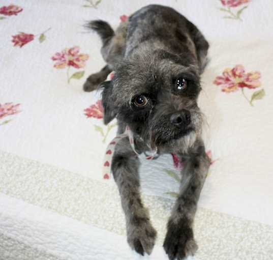 Photo of Norma jean