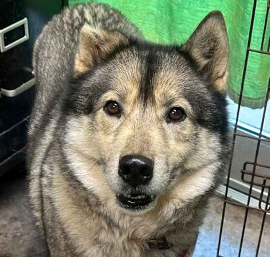 Photo of Aspen
