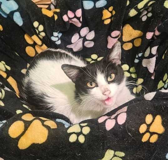 Photo of Dottie