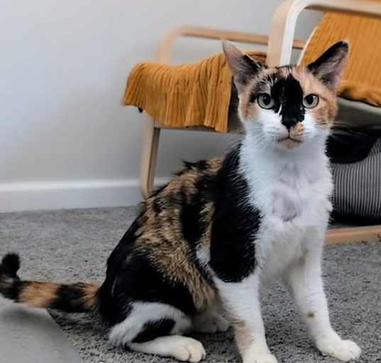 Photo of Cali