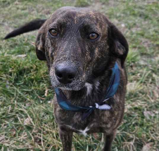 Photo of Louie