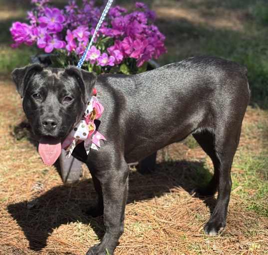 Photo of WINNIE