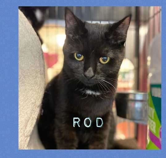 Photo of Rod
