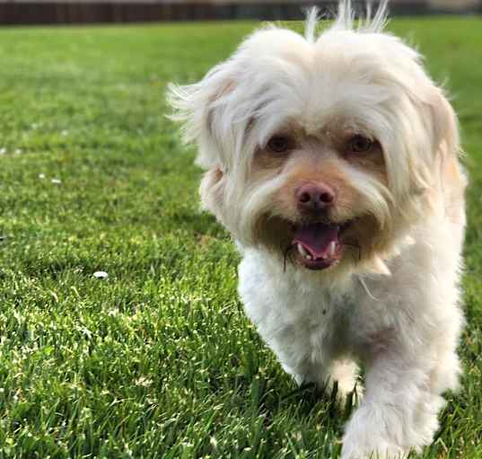 Photo of Gregarious Georgie